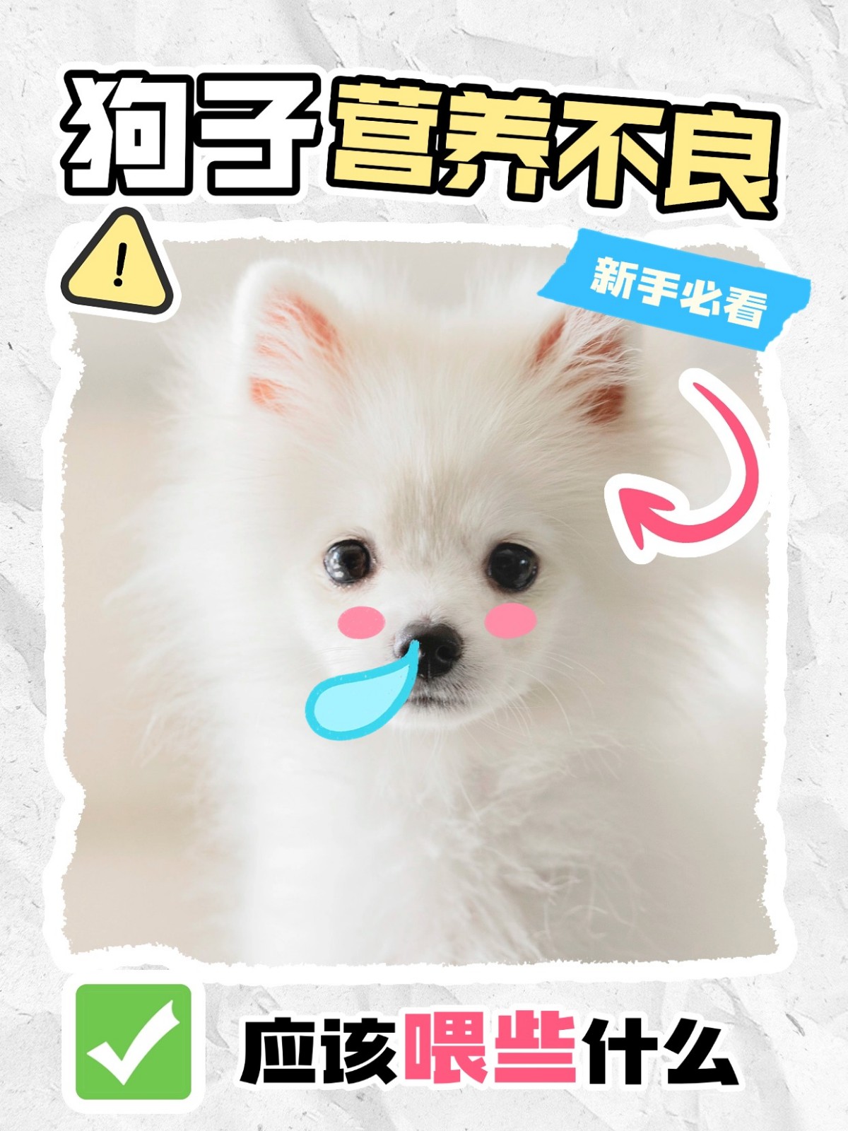 家里的狗子营养不良，应该喂些什么呢？