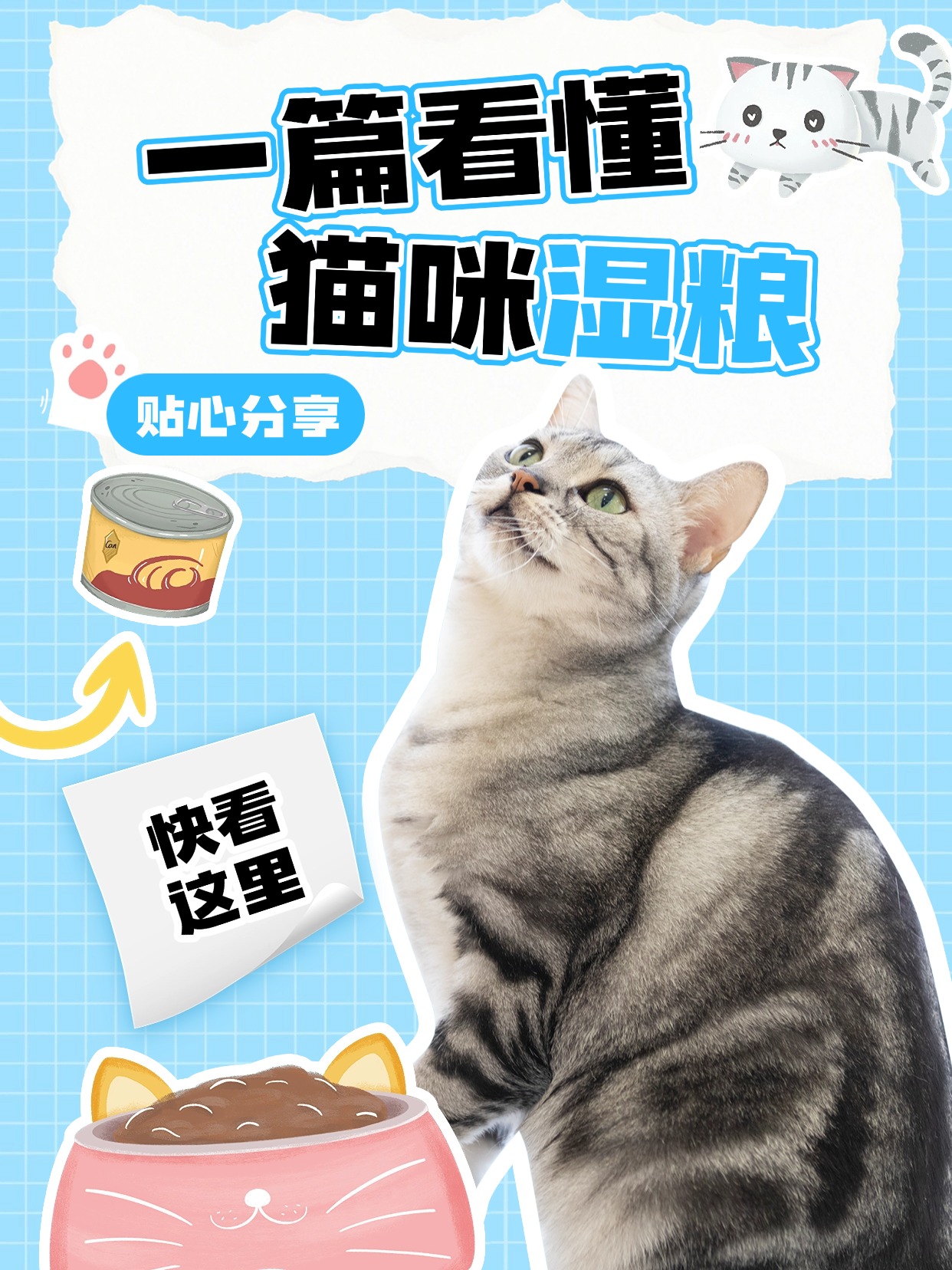 猫咪湿粮就得选这种的，猫咪爱吃还健康