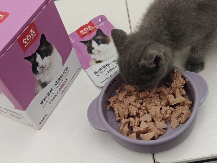 穷养猫常用的猫粮，照着这个选就对了！