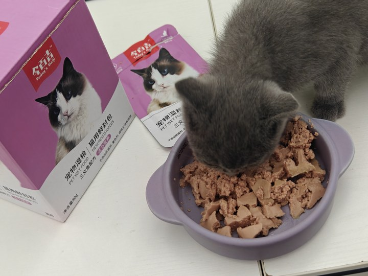 挑食小猫放着贵罐头不吃，偏偏喜欢的平价湿粮是什么