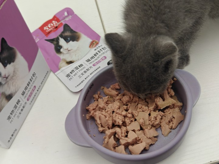 个人总结的养猫秘籍！猫咪健康就得这么喂