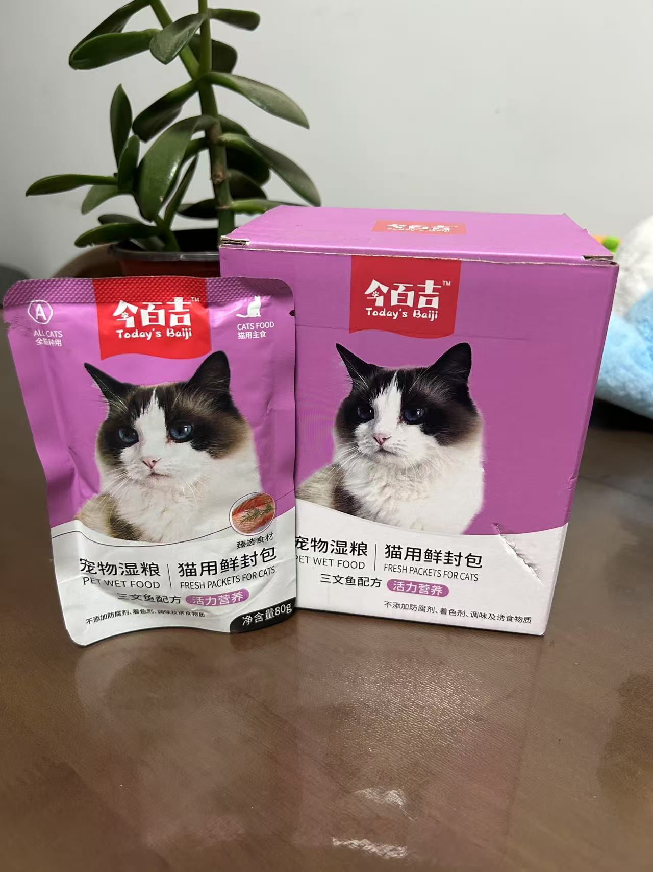 猫咪软便怎么办？这么喂立杆见影！