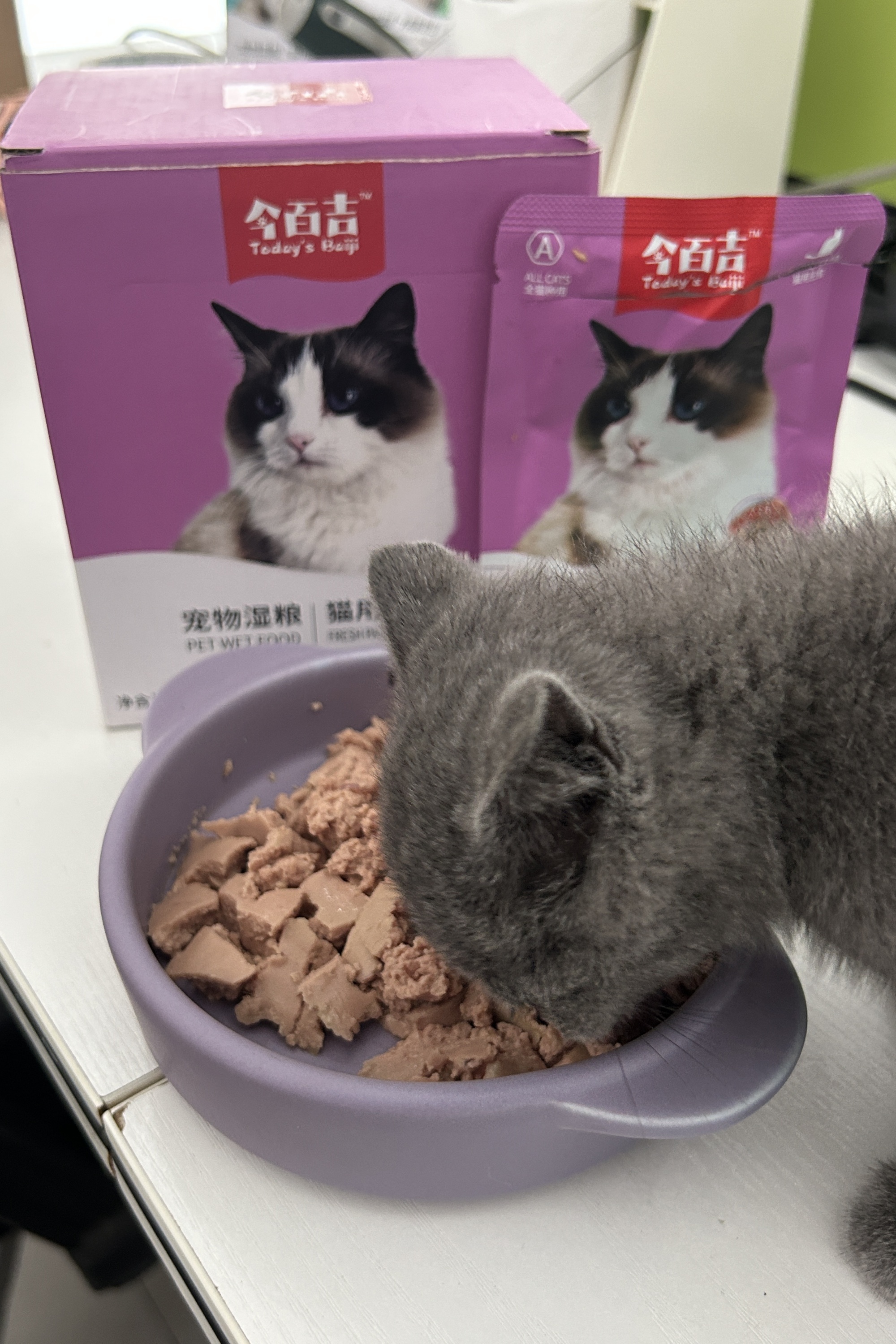 猫咪软便怎么办？这么喂立杆见影！