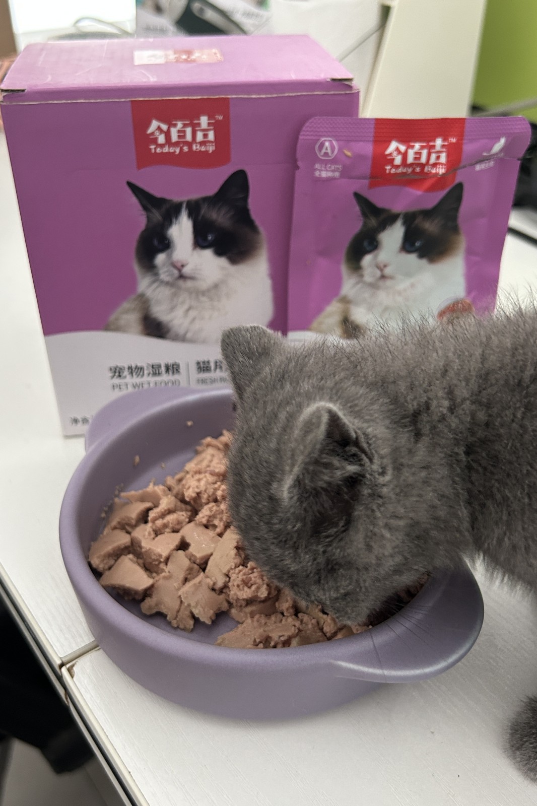 猫咪软便怎么办？这么喂立杆见影！
