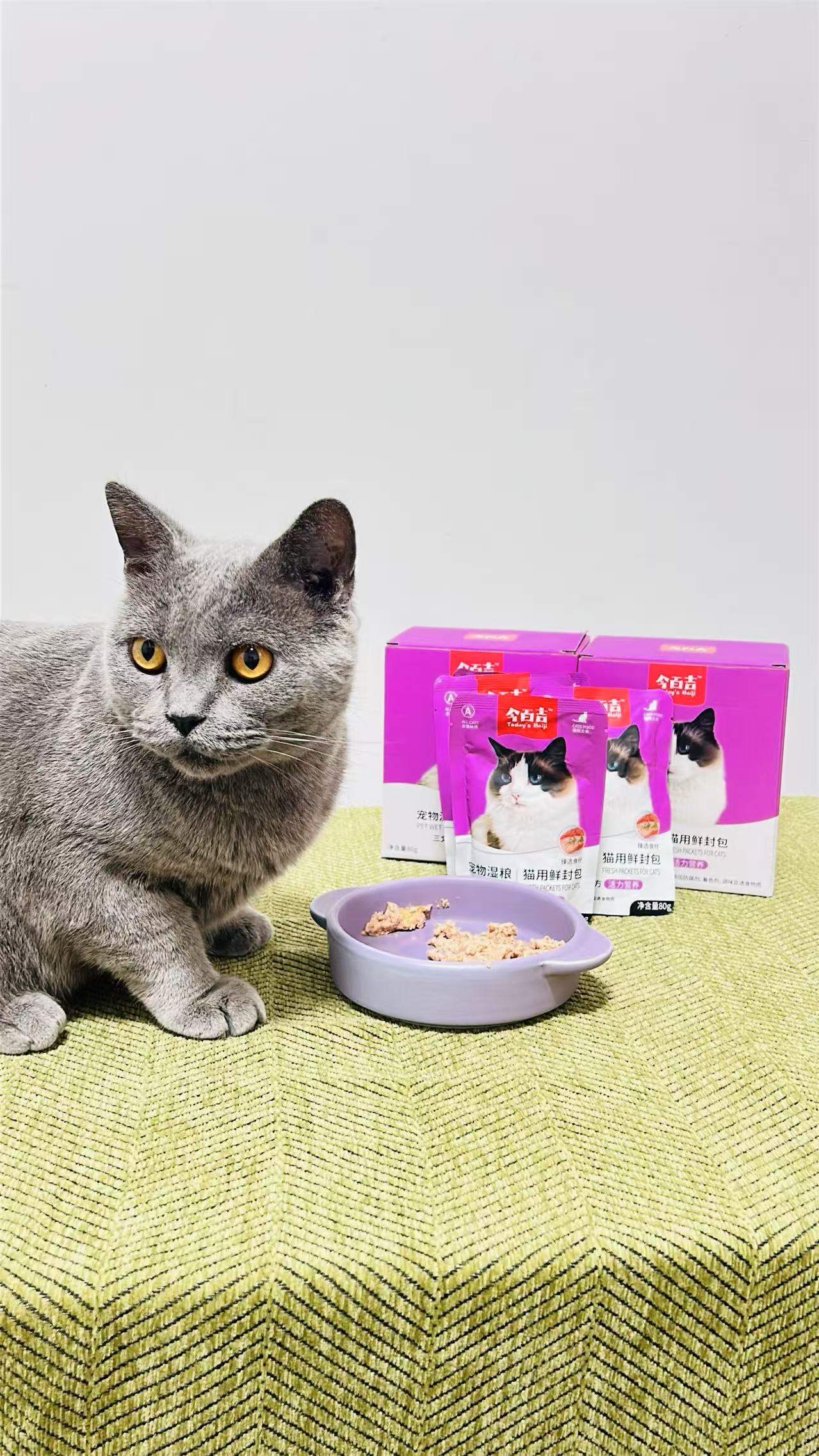 哪些猫粮水含量较高？适合猫咪的补水神器