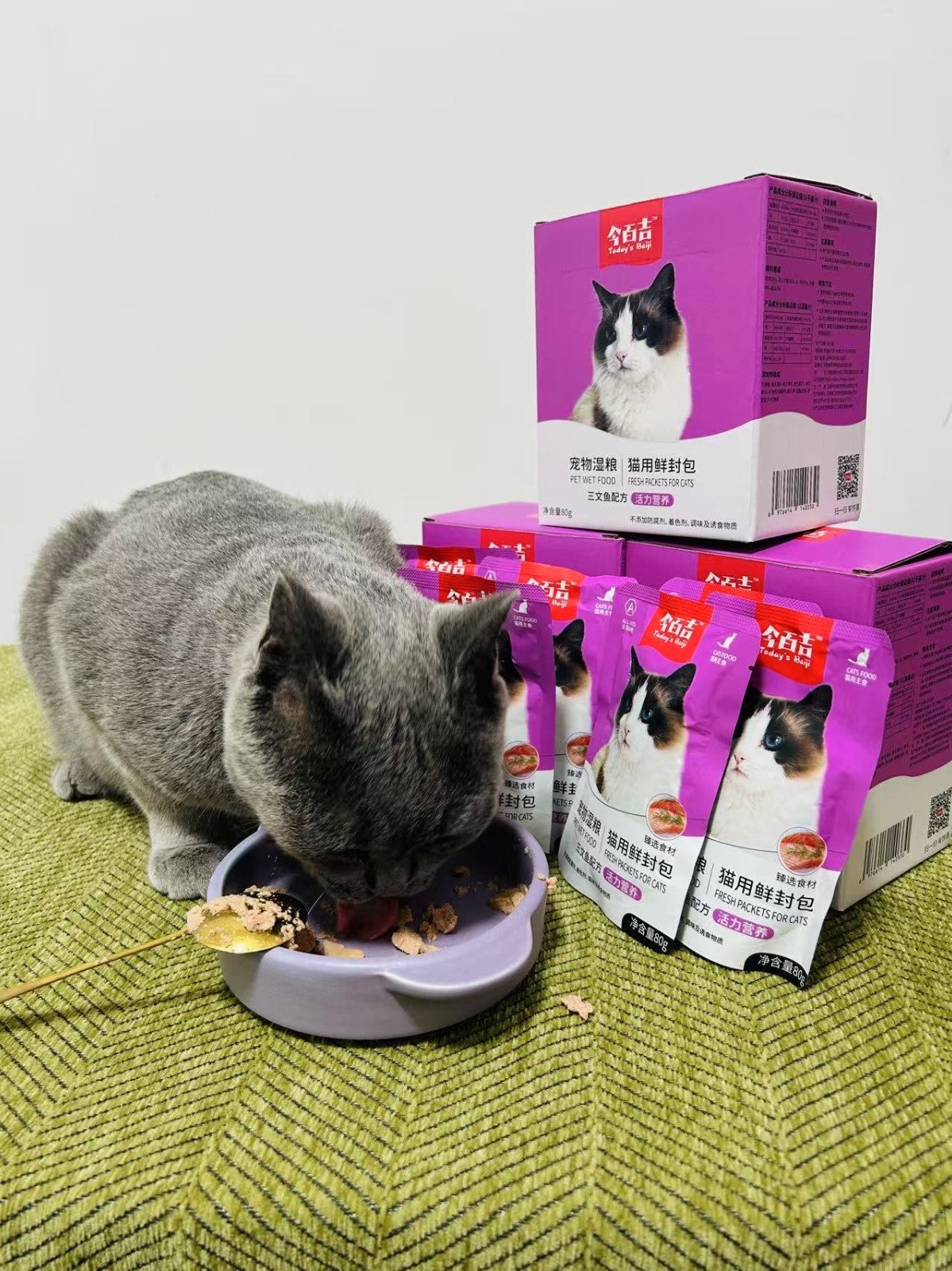 哪些猫粮水含量较高？适合猫咪的补水神器
